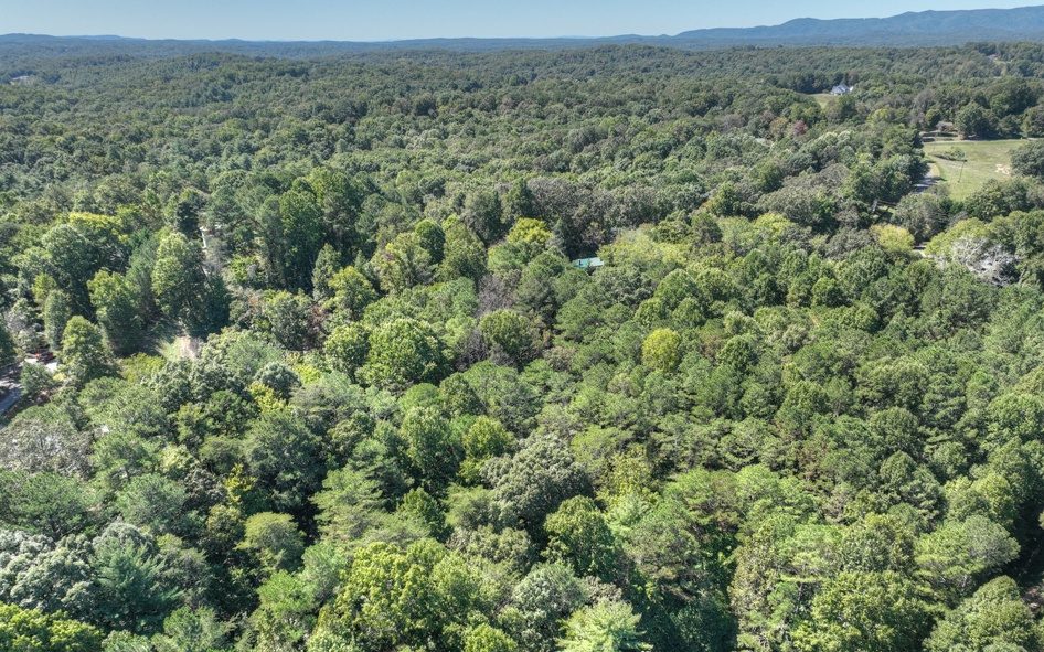 13.32 Old Tails Creek Road