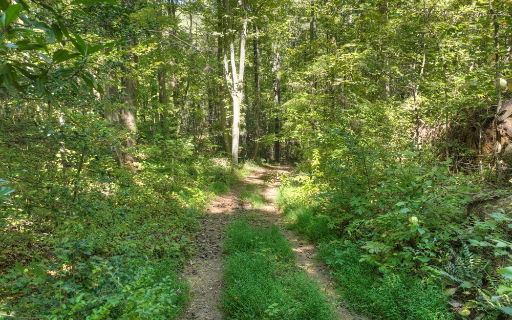 13.32 Old Tails Creek Road