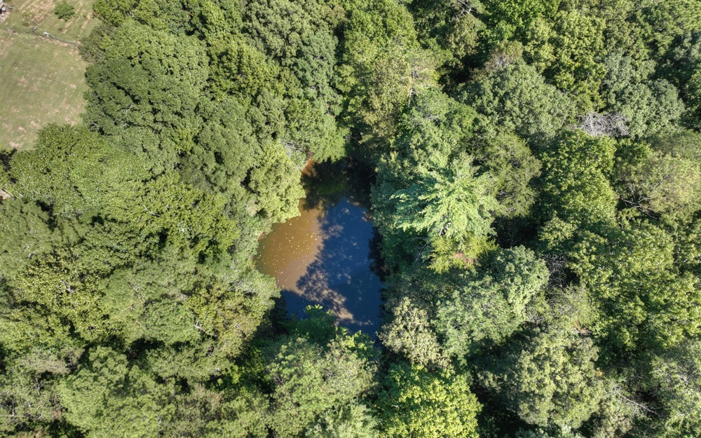 13.32 Old Tails Creek Road