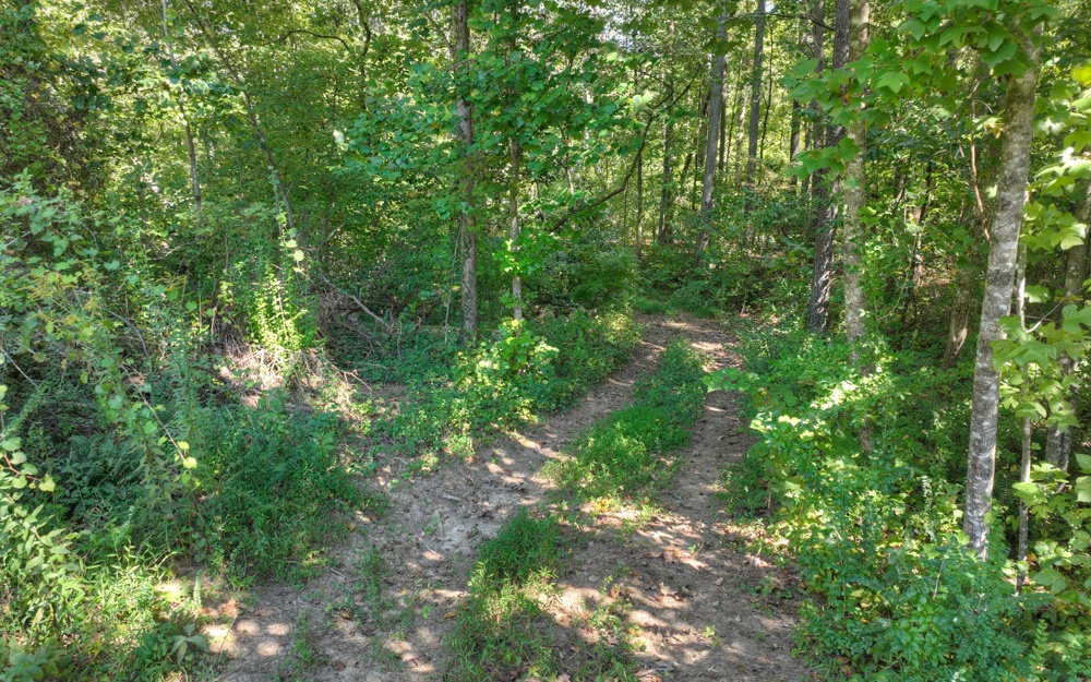 13.32 Old Tails Creek Road