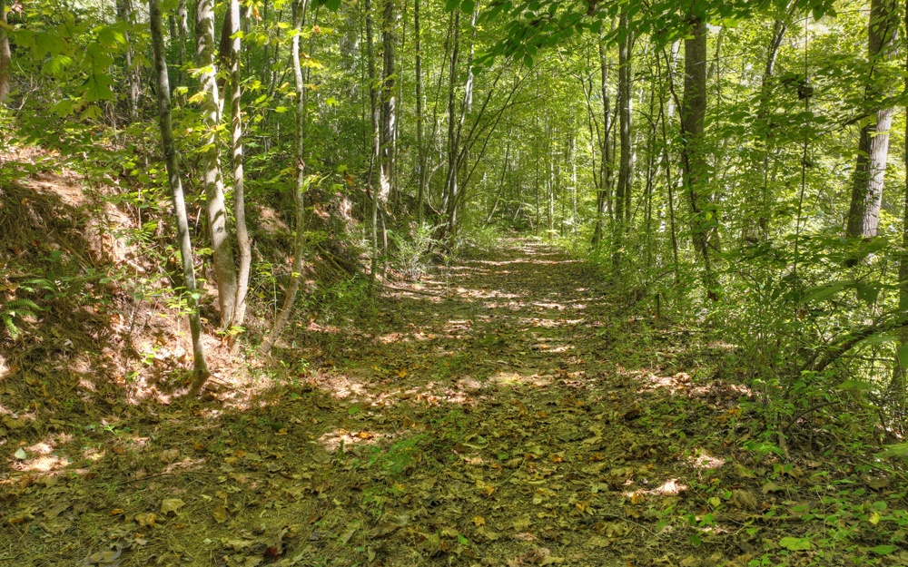 13.32 Old Tails Creek Road