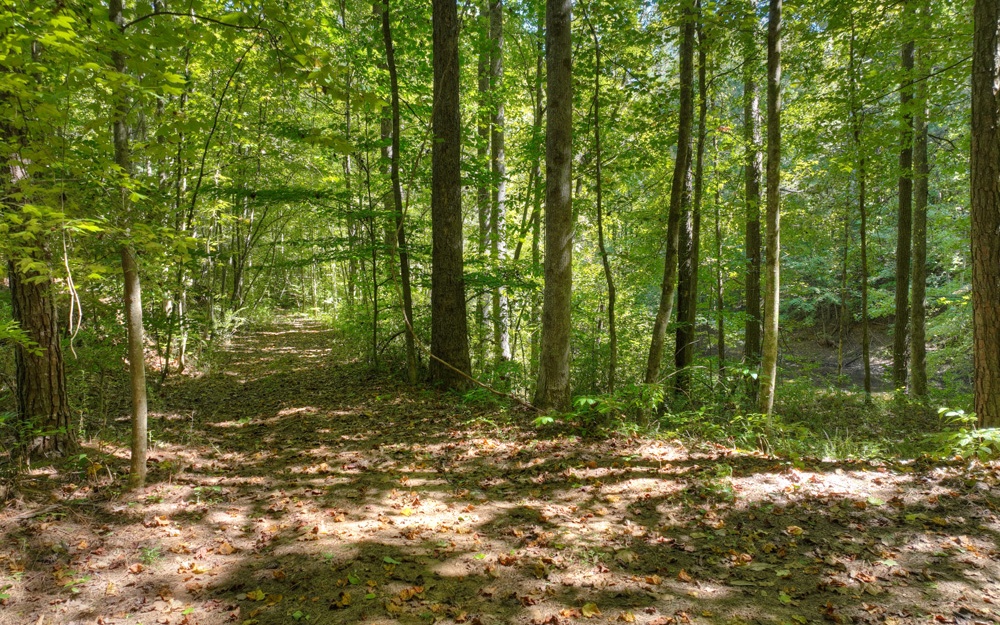 13.32 Old Tails Creek Road