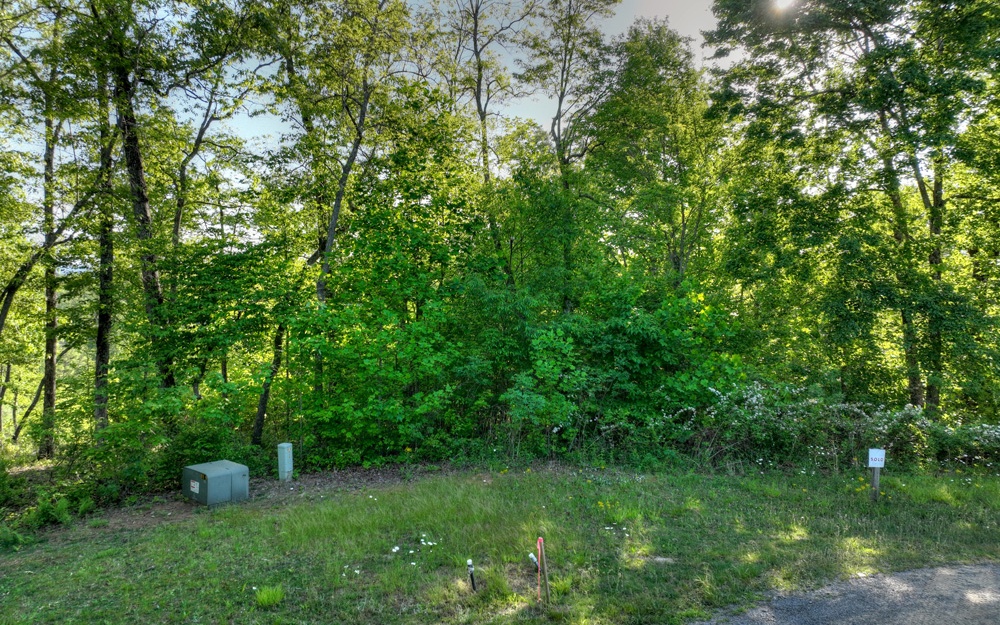 L 150 Old Toccoa Farm Loop