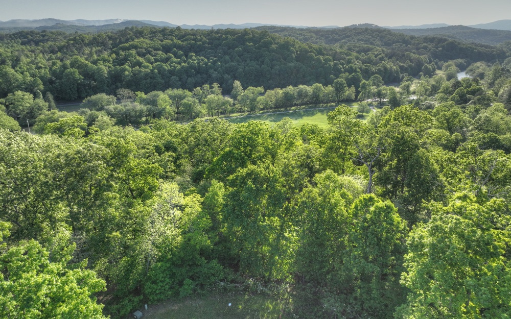 L 150 Old Toccoa Farm Loop