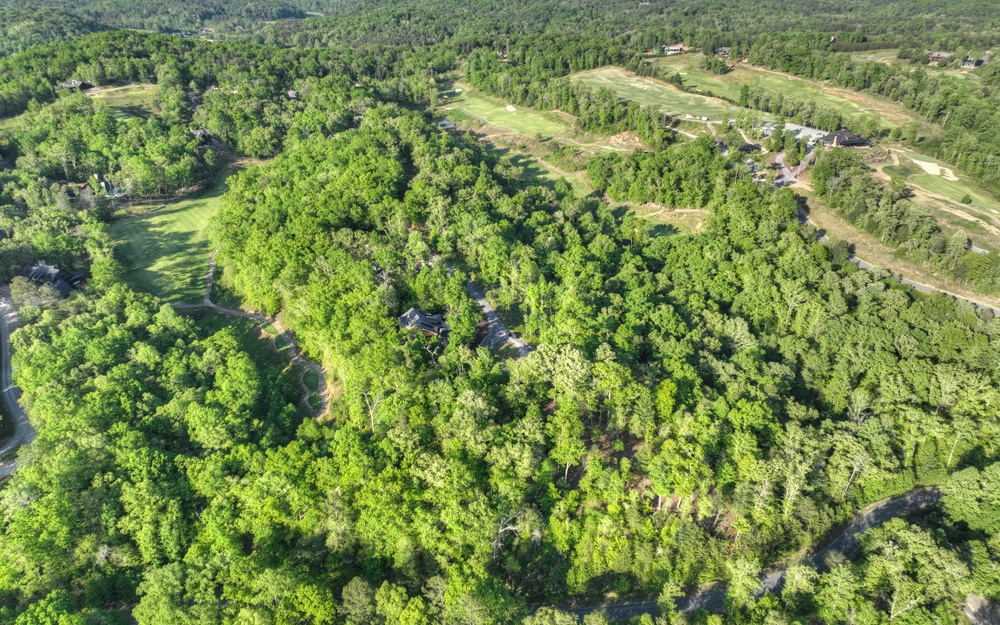 L 150 Old Toccoa Farm Loop