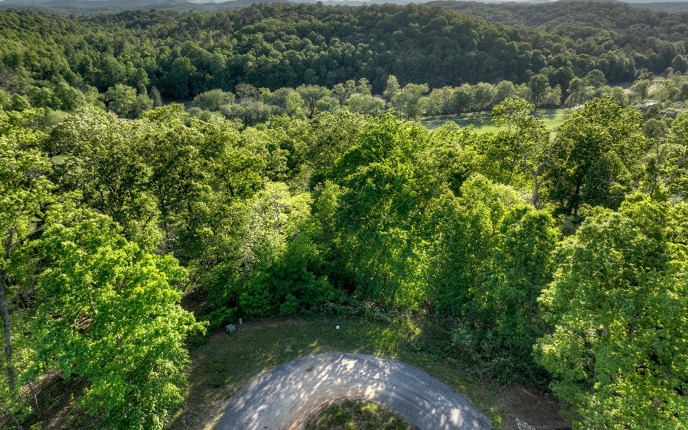 L 150 Old Toccoa Farm Loop