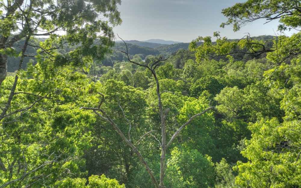 L 150 Old Toccoa Farm Loop