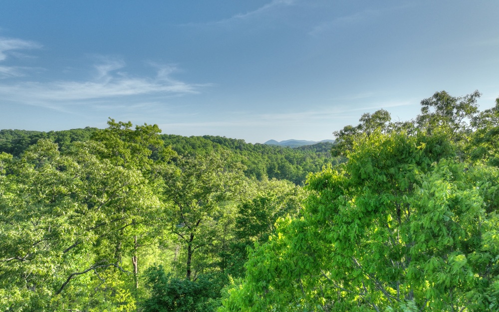 L 150 Old Toccoa Farm Loop
