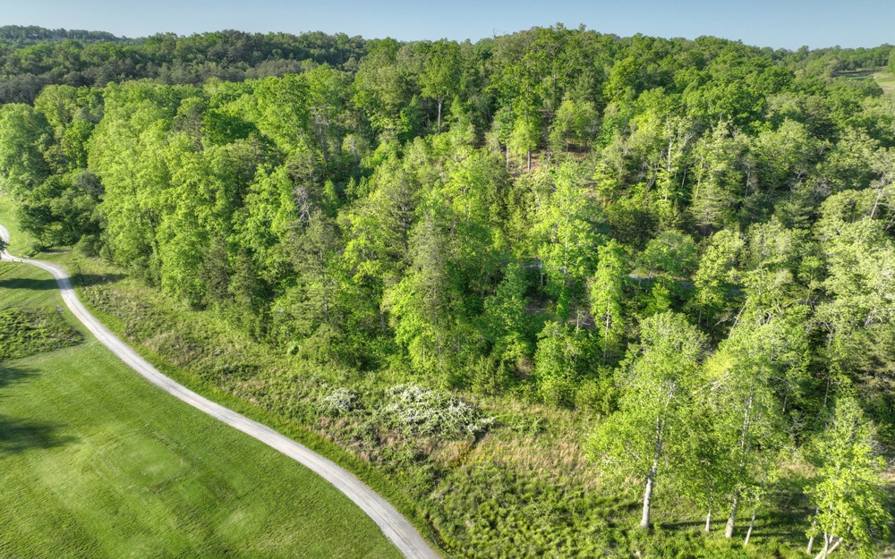L 150 Old Toccoa Farm Loop