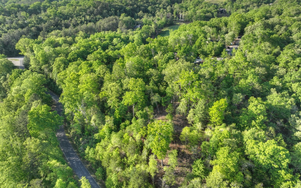 L 150 Old Toccoa Farm Loop