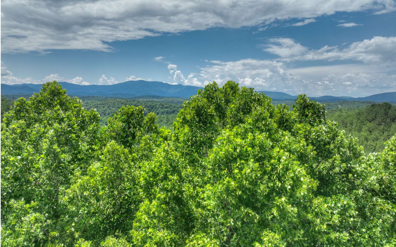 200 River Overlook Drive