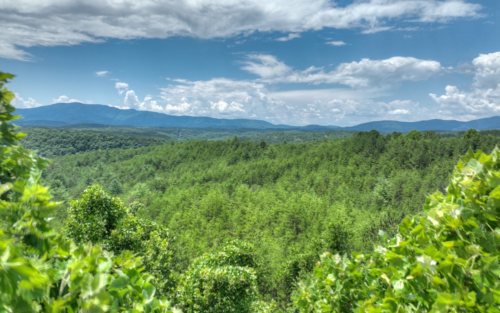 200 River Overlook Drive