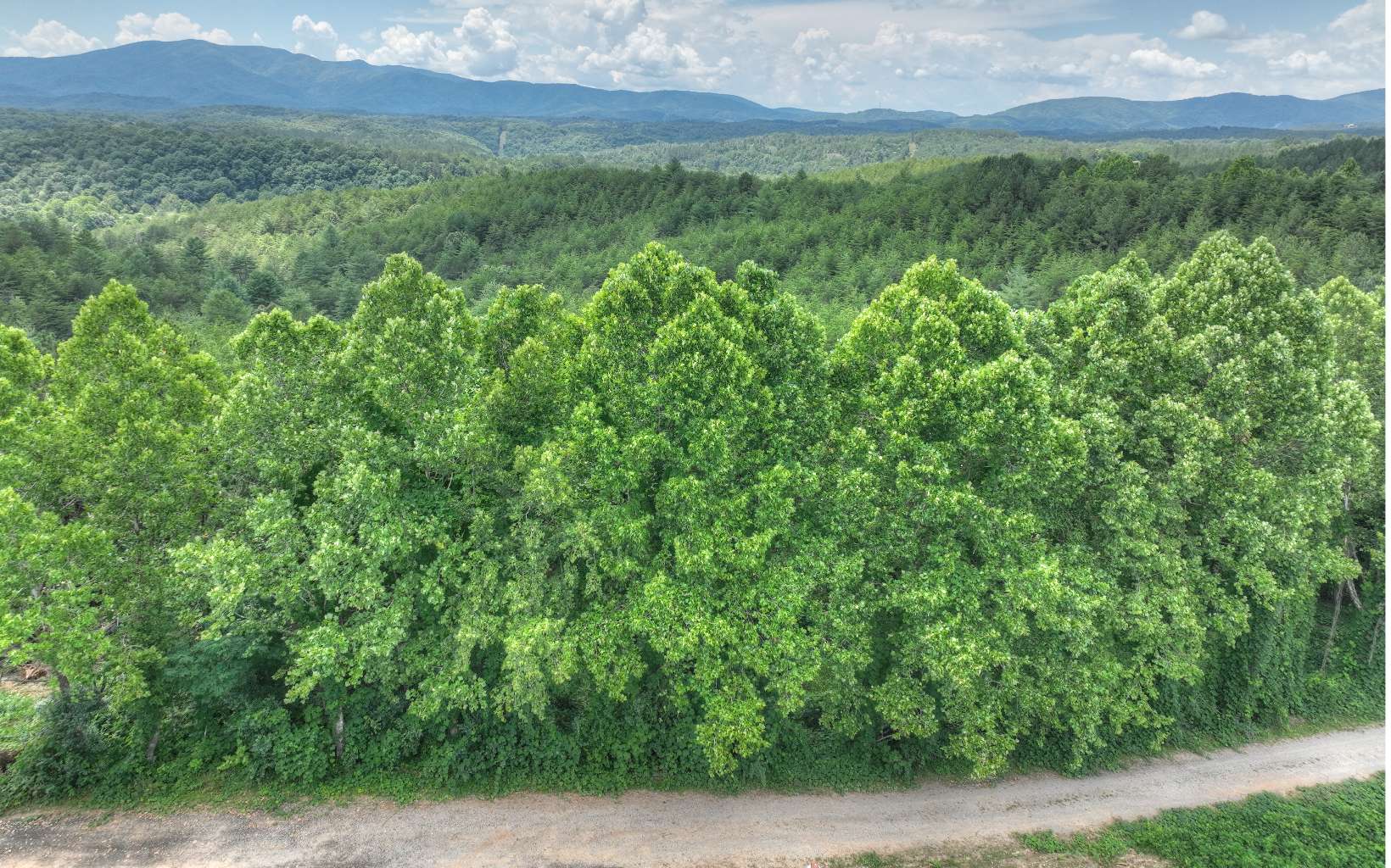 200 River Overlook Drive