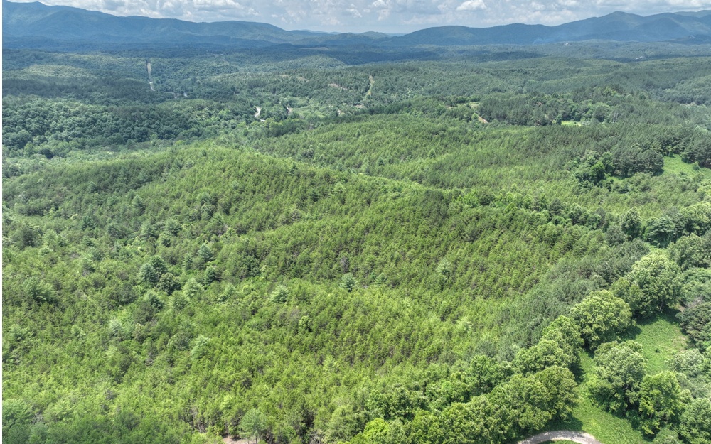 200 River Overlook Drive