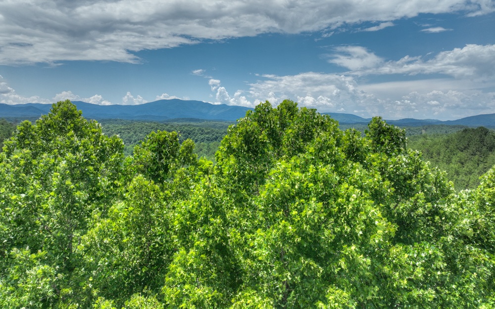 200 River Overlook Drive