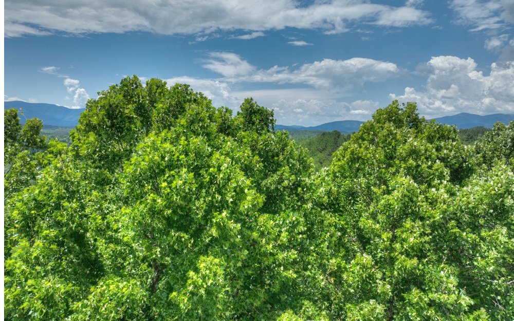 200 River Overlook Drive