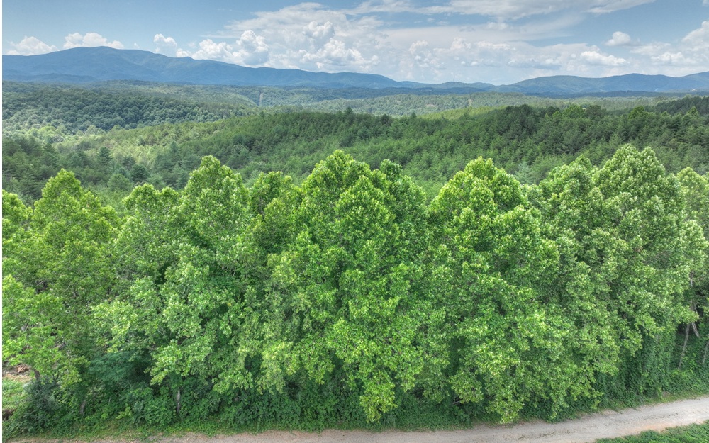 200 River Overlook Drive