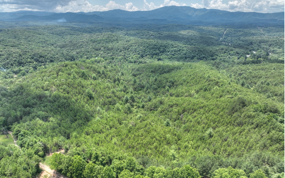 200 River Overlook Drive