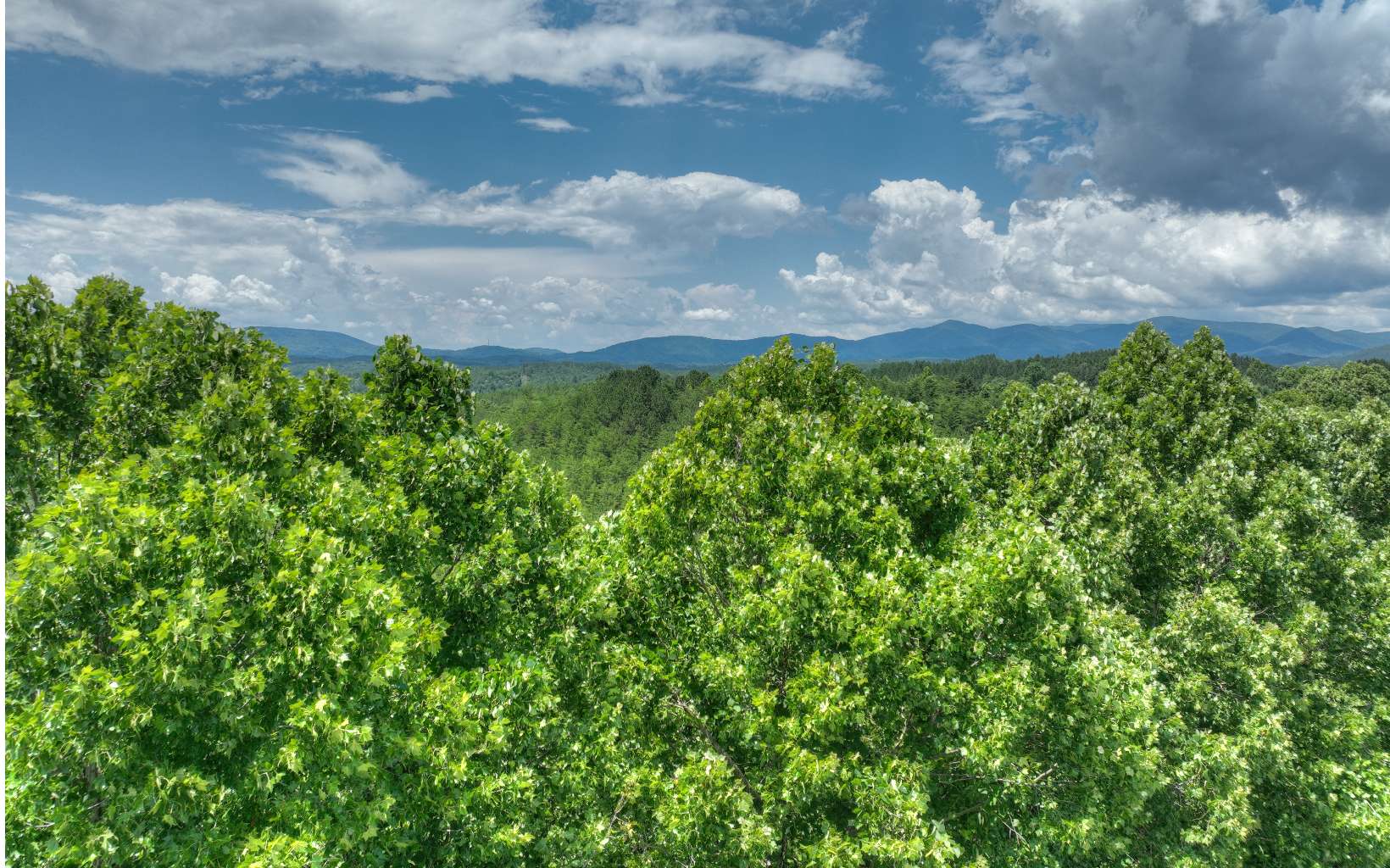 200 River Overlook Drive