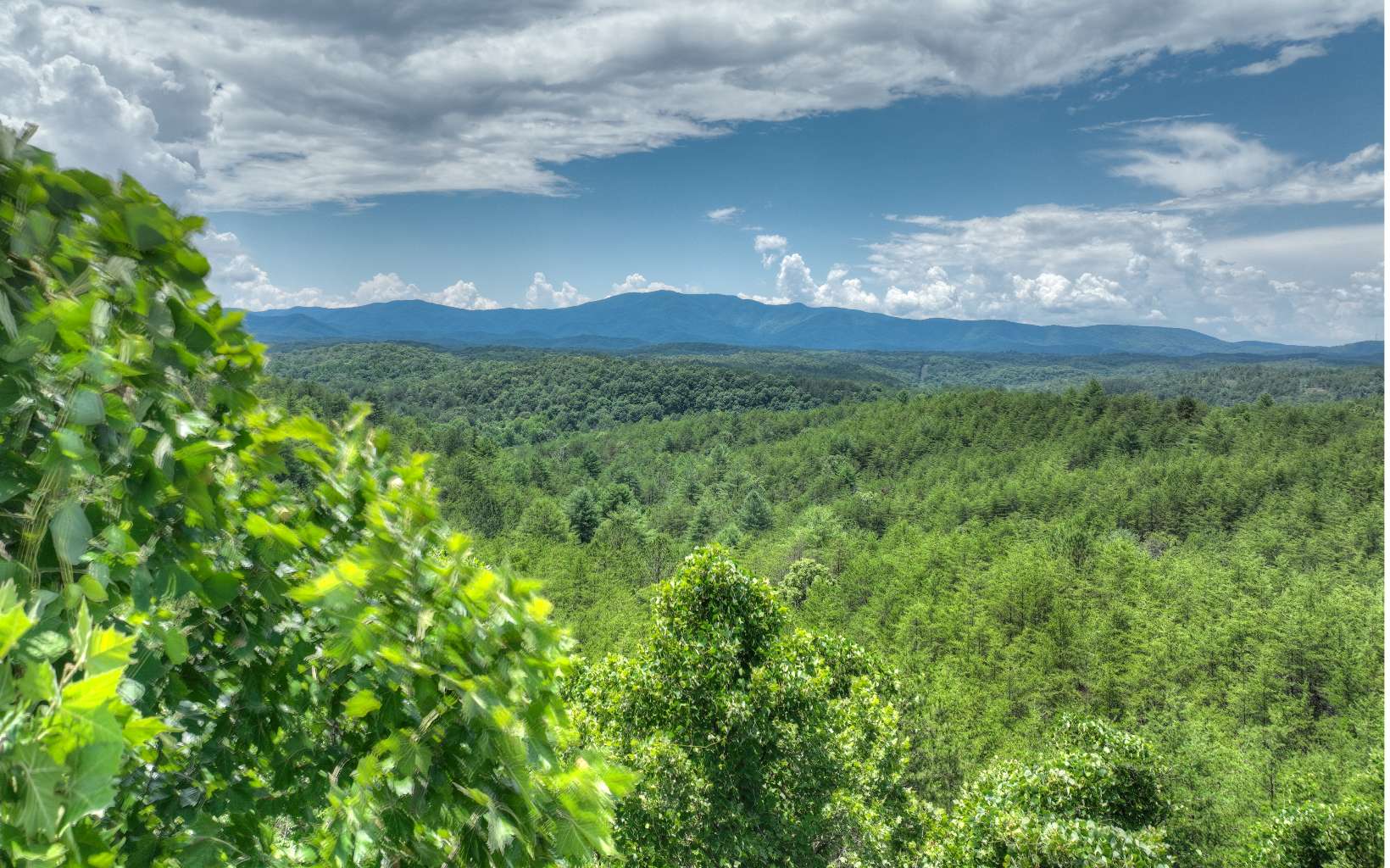 200 River Overlook Drive