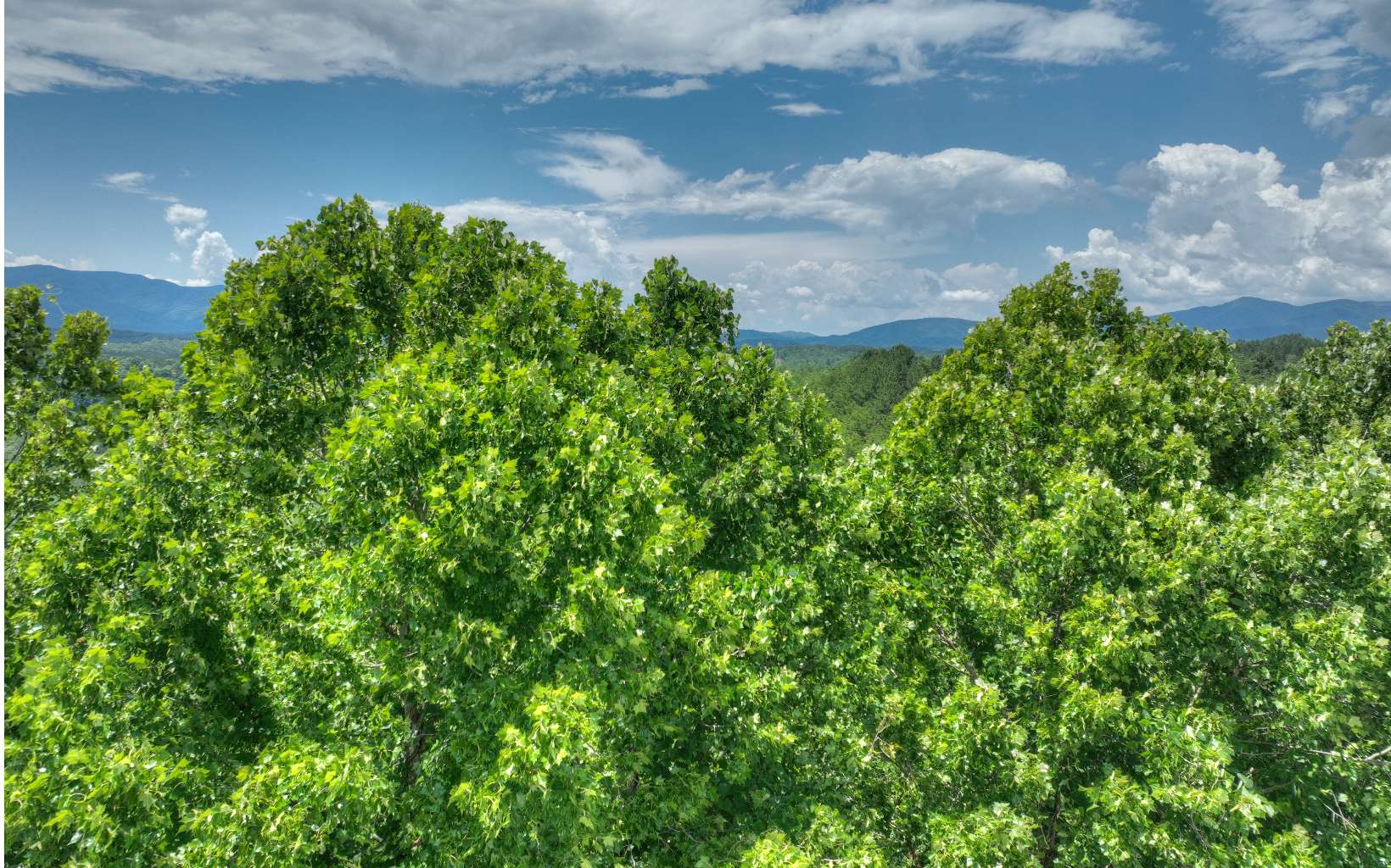 200 River Overlook Drive