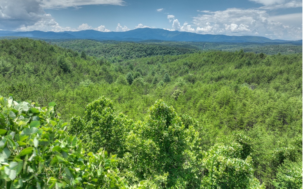 200 River Overlook Drive