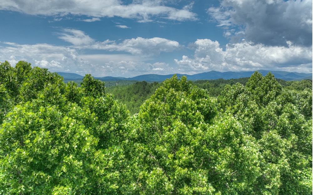 200 River Overlook Drive