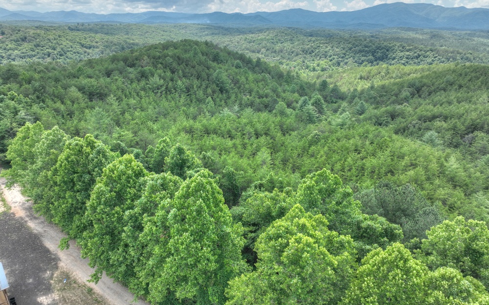 200 River Overlook Drive