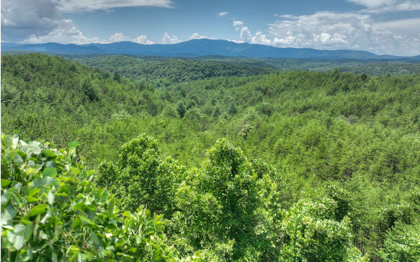 200 River Overlook Drive