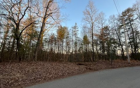 4.09A Evening Shade Walk