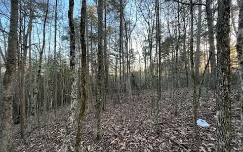 4.09A Evening Shade Walk