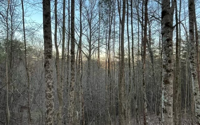 4.09A Evening Shade Walk