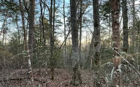 4.09A Evening Shade Walk