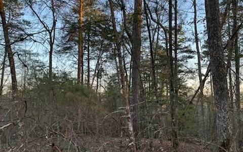 4.09A Evening Shade Walk