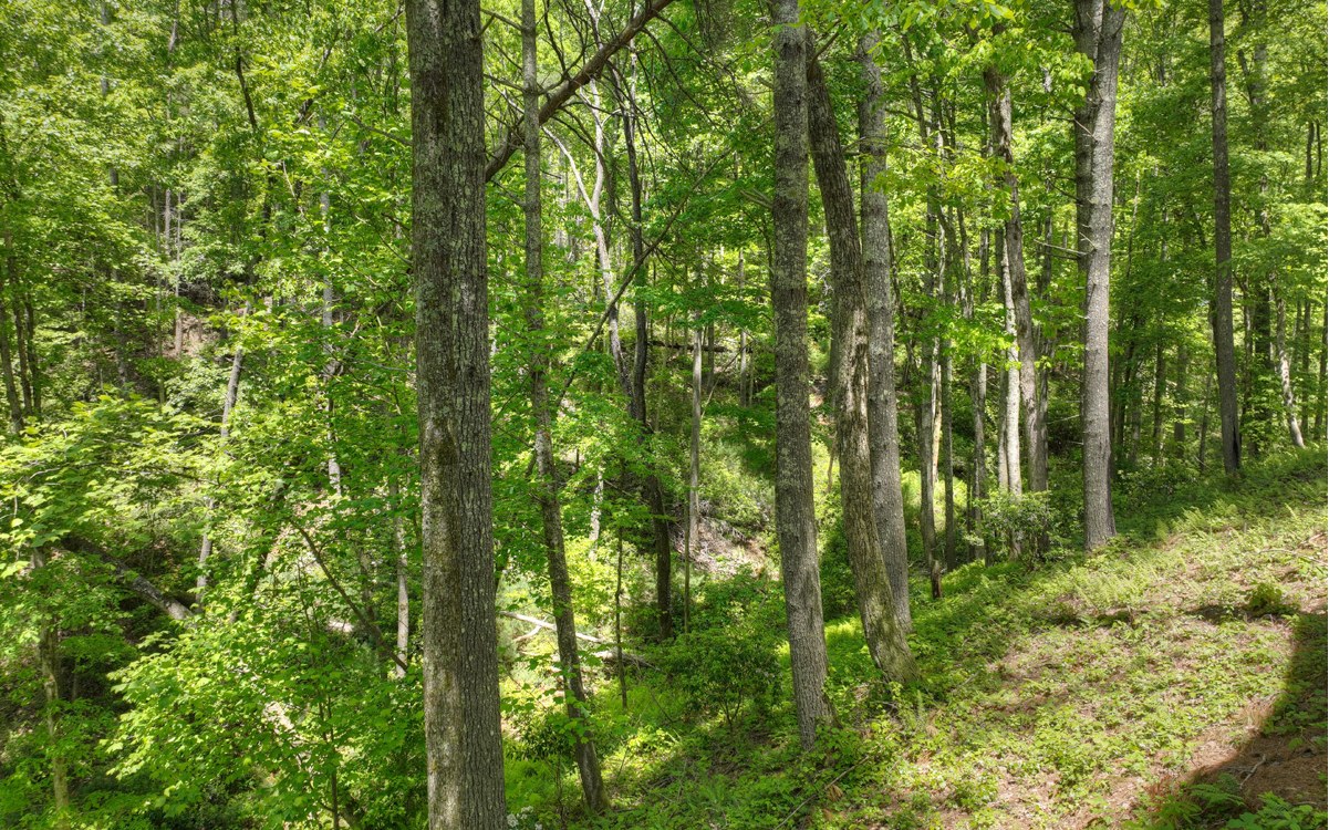 60 Hidden Ridge Court