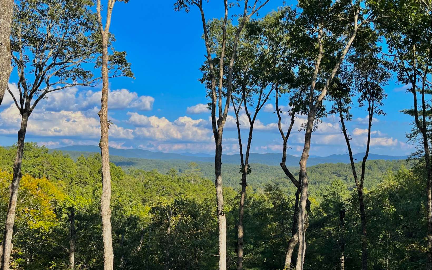 200 Bill Claypool Drive