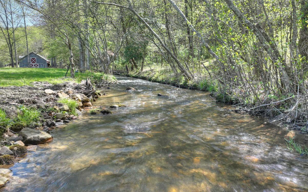 611 Snake Nation Road