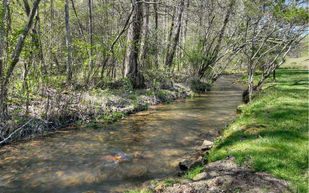 611 Snake Nation Road