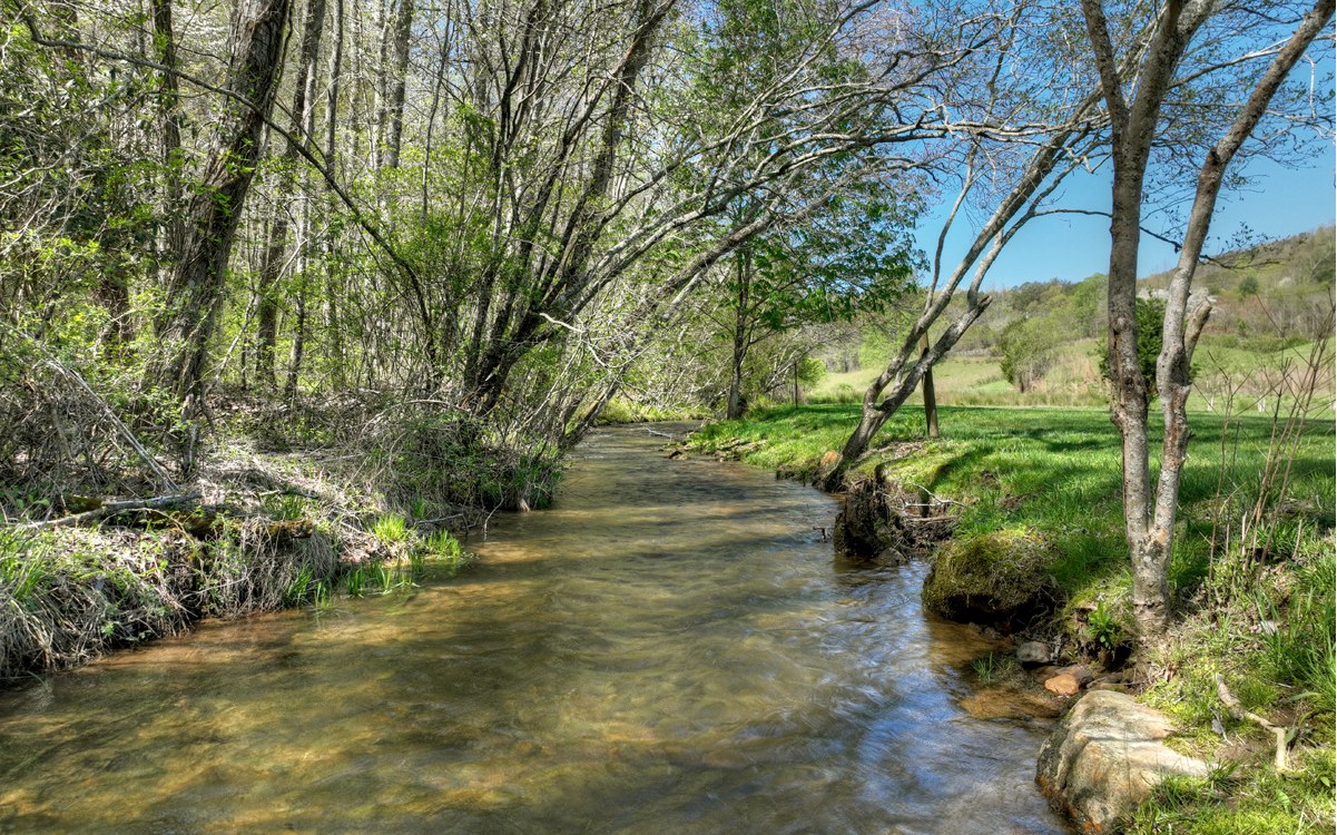 611 Snake Nation Road