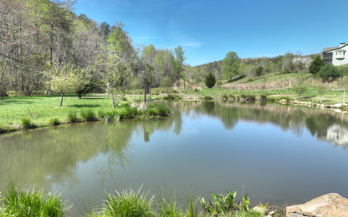 611 Snake Nation Road