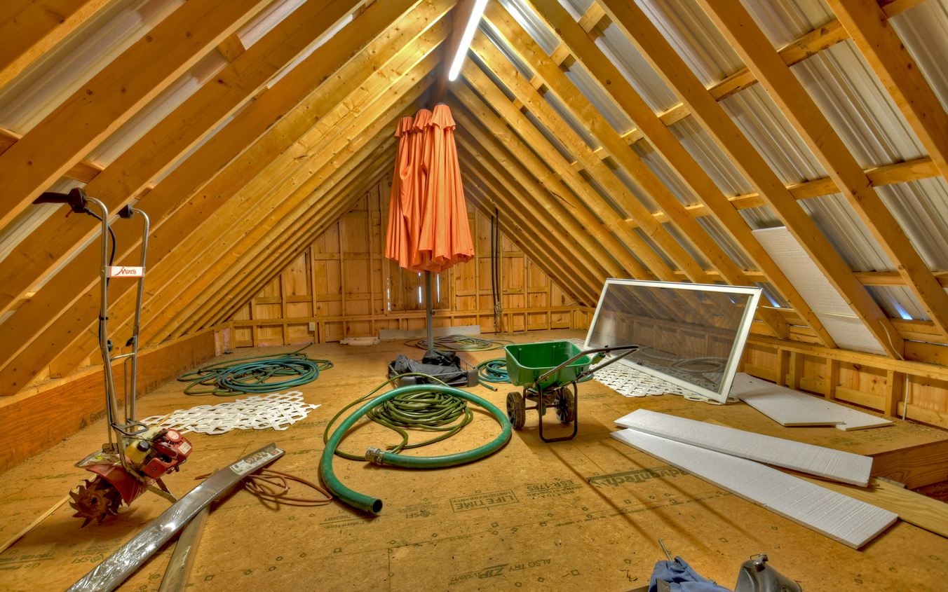 611 Snake Nation Road