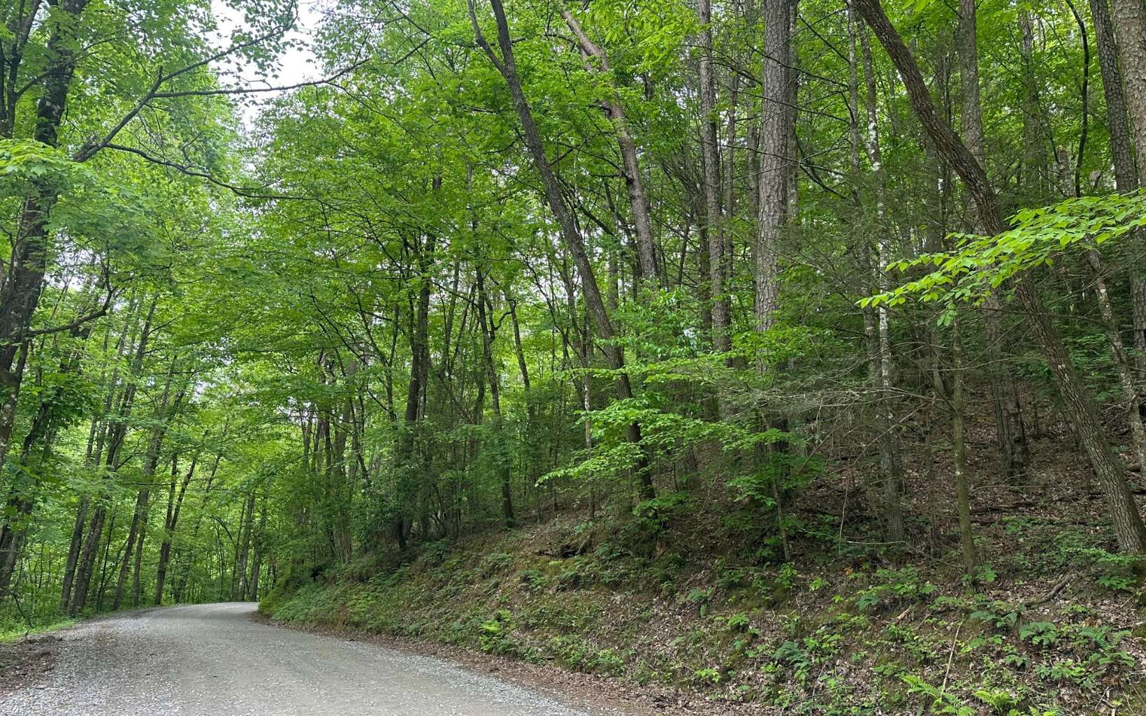 LOT 5 Bear Paw Trail