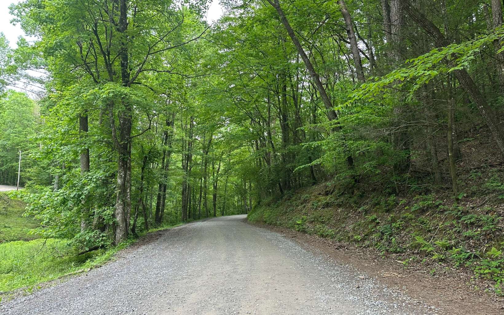 LOT 5 Bear Paw Trail