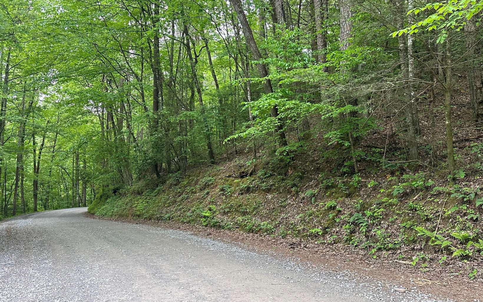 LOT 5 Bear Paw Trail