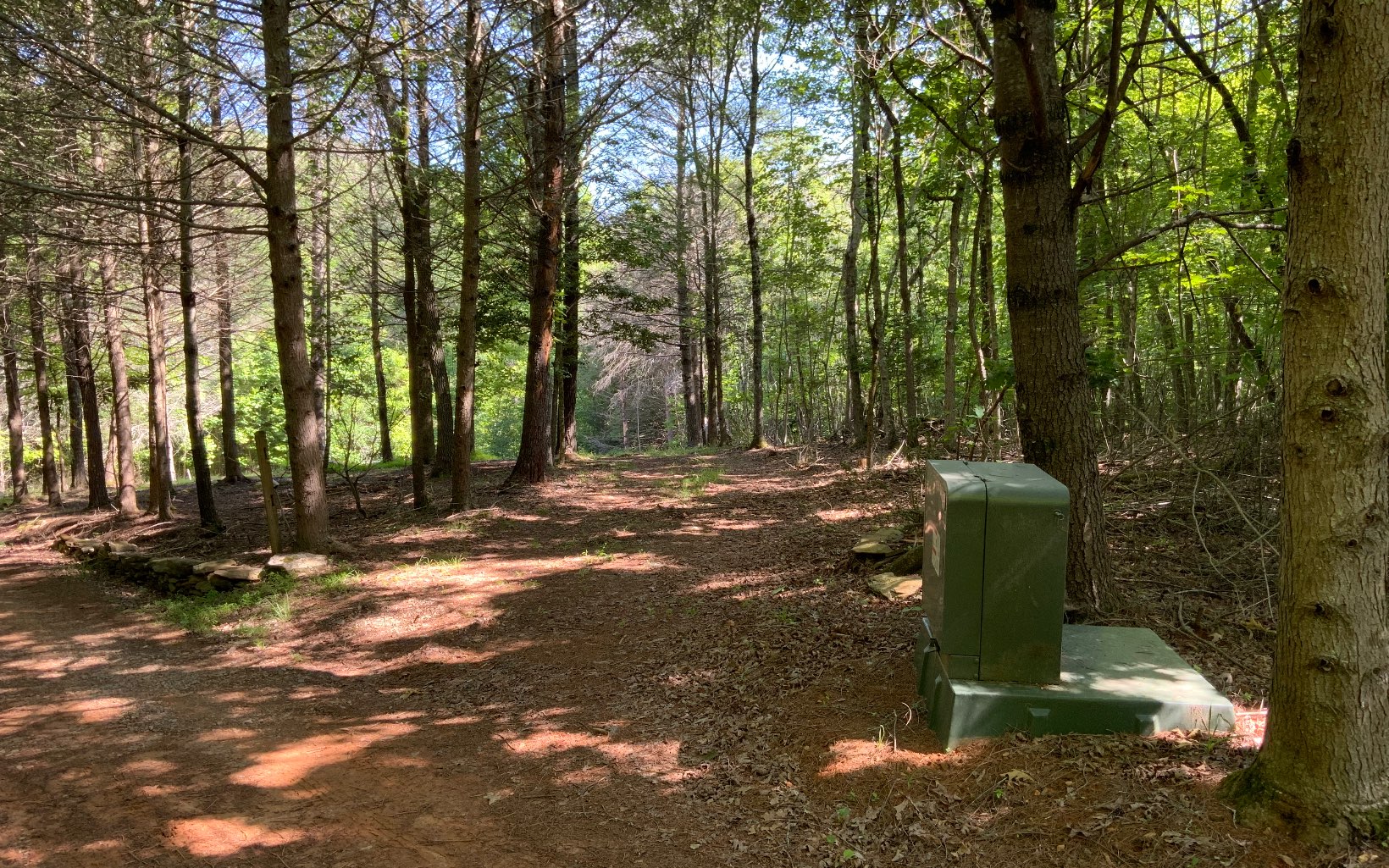 1410 Kelly Ridge Drive