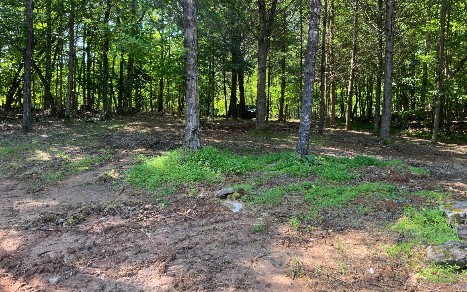 1410 Kelly Ridge Drive