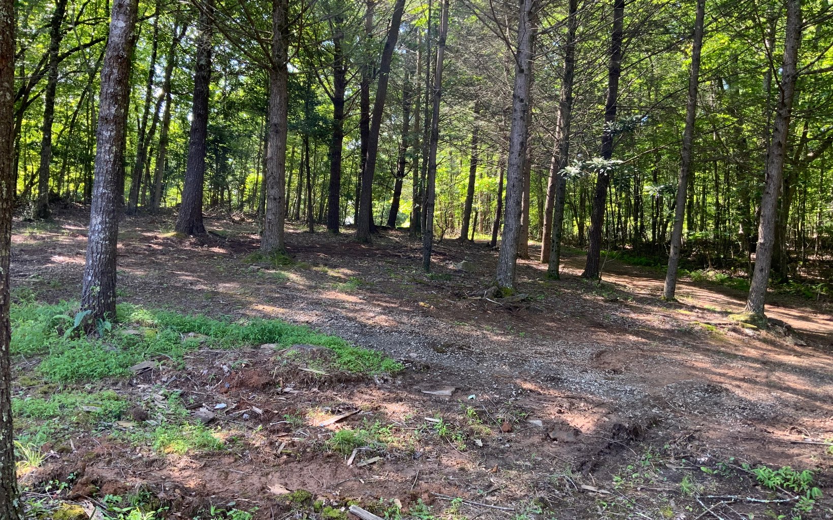 1410 Kelly Ridge Drive