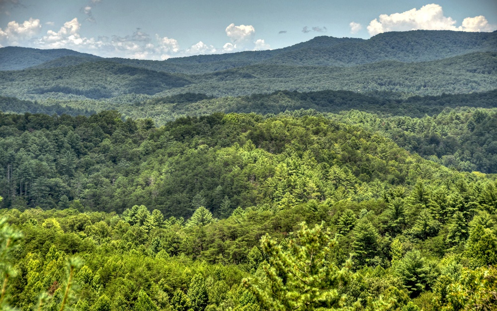 1817 Hidden Lake Drive