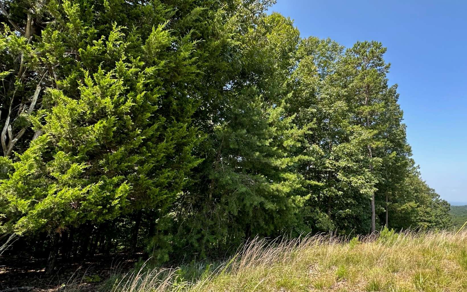 L136 Carters Lake Estates