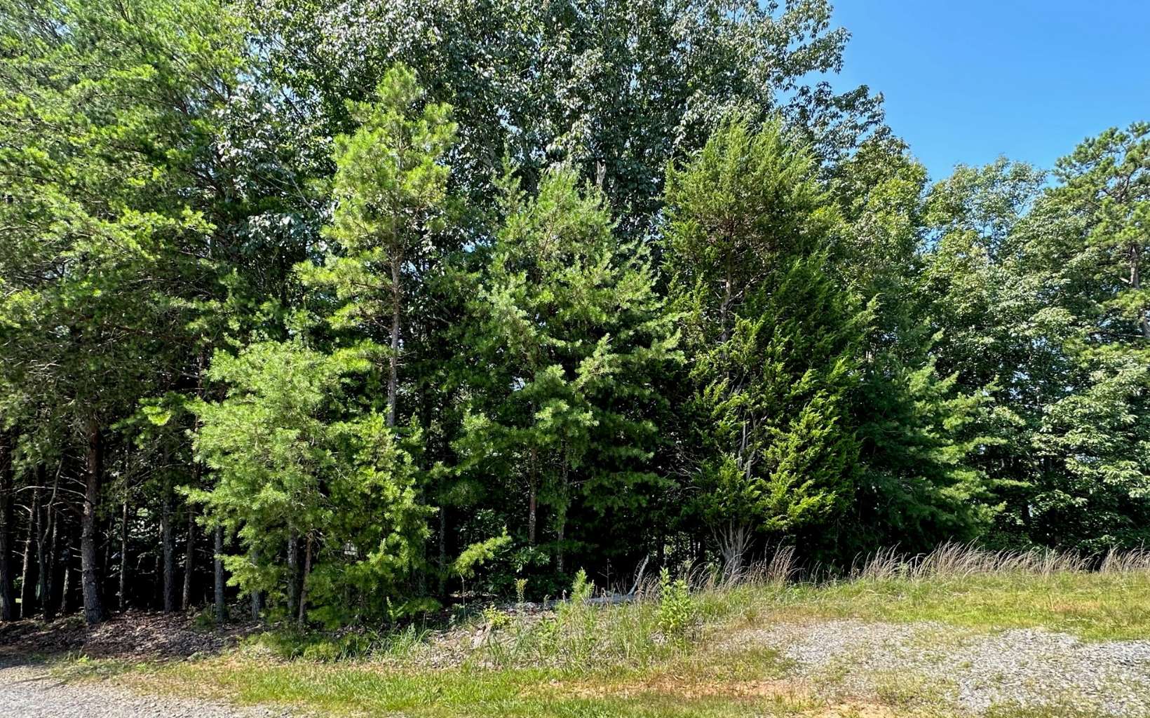 L136 Carters Lake Estates